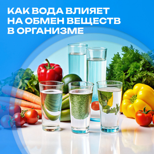 Как вода влияет на обмен веществ в организме