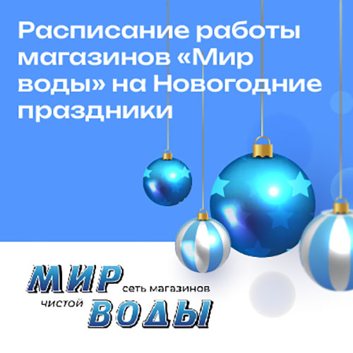 Расписание работы в новогодние праздники в 2023-2024 году